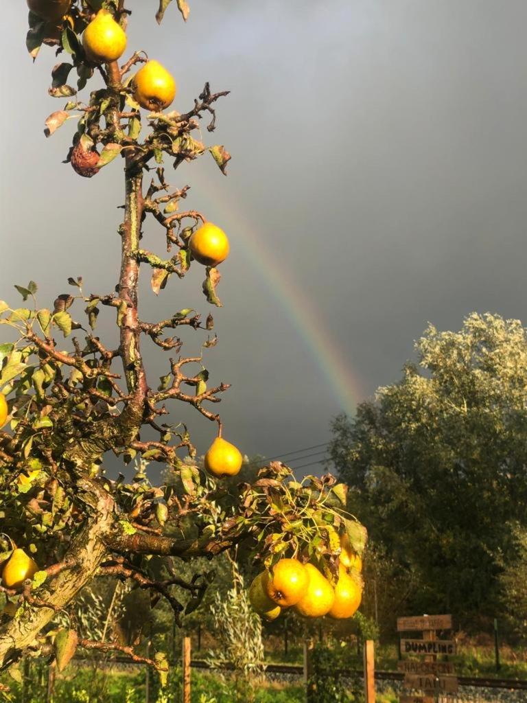 Droom Aan De Linge Wadenoijen ภายนอก รูปภาพ