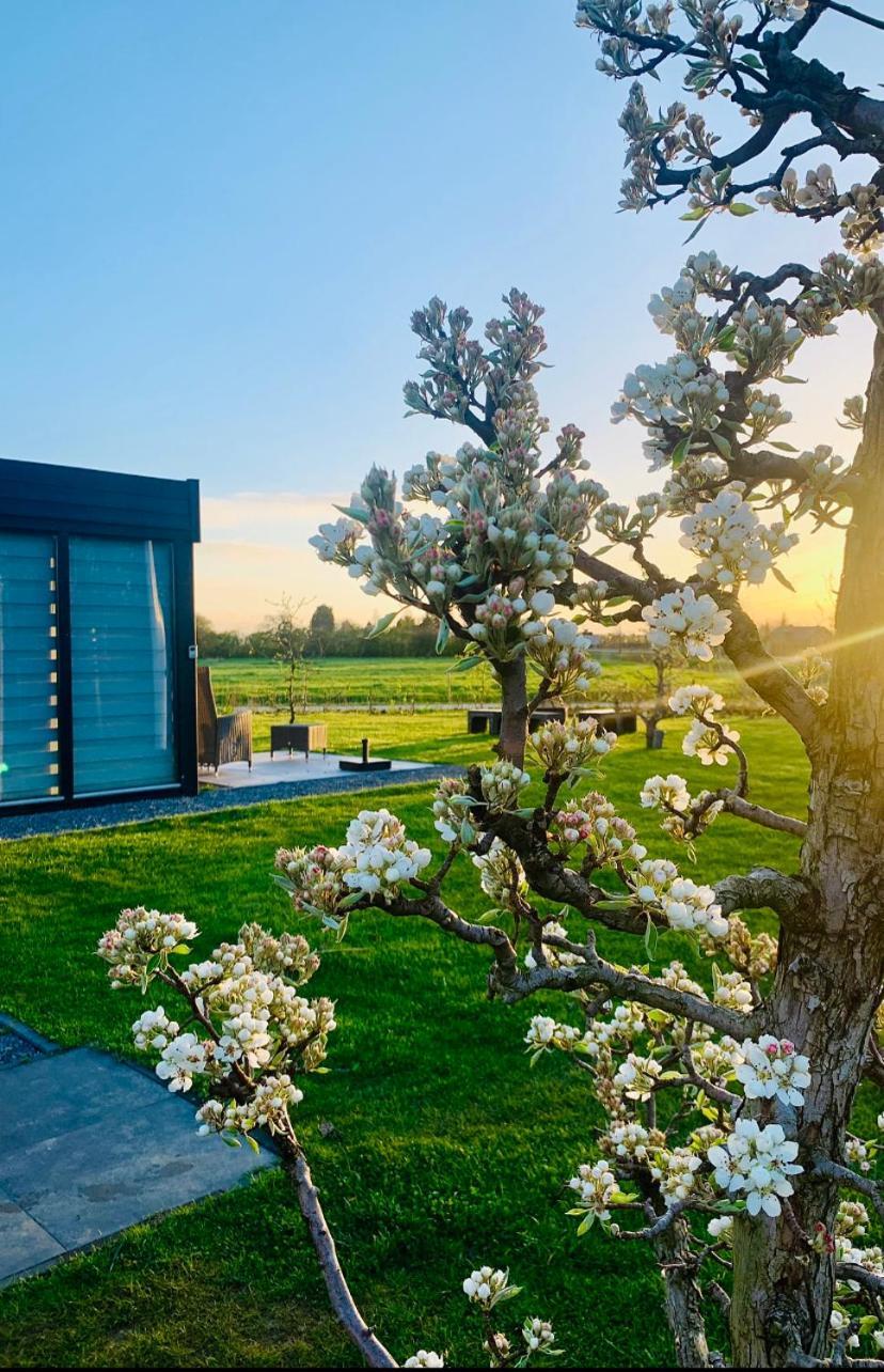 Droom Aan De Linge Wadenoijen ภายนอก รูปภาพ