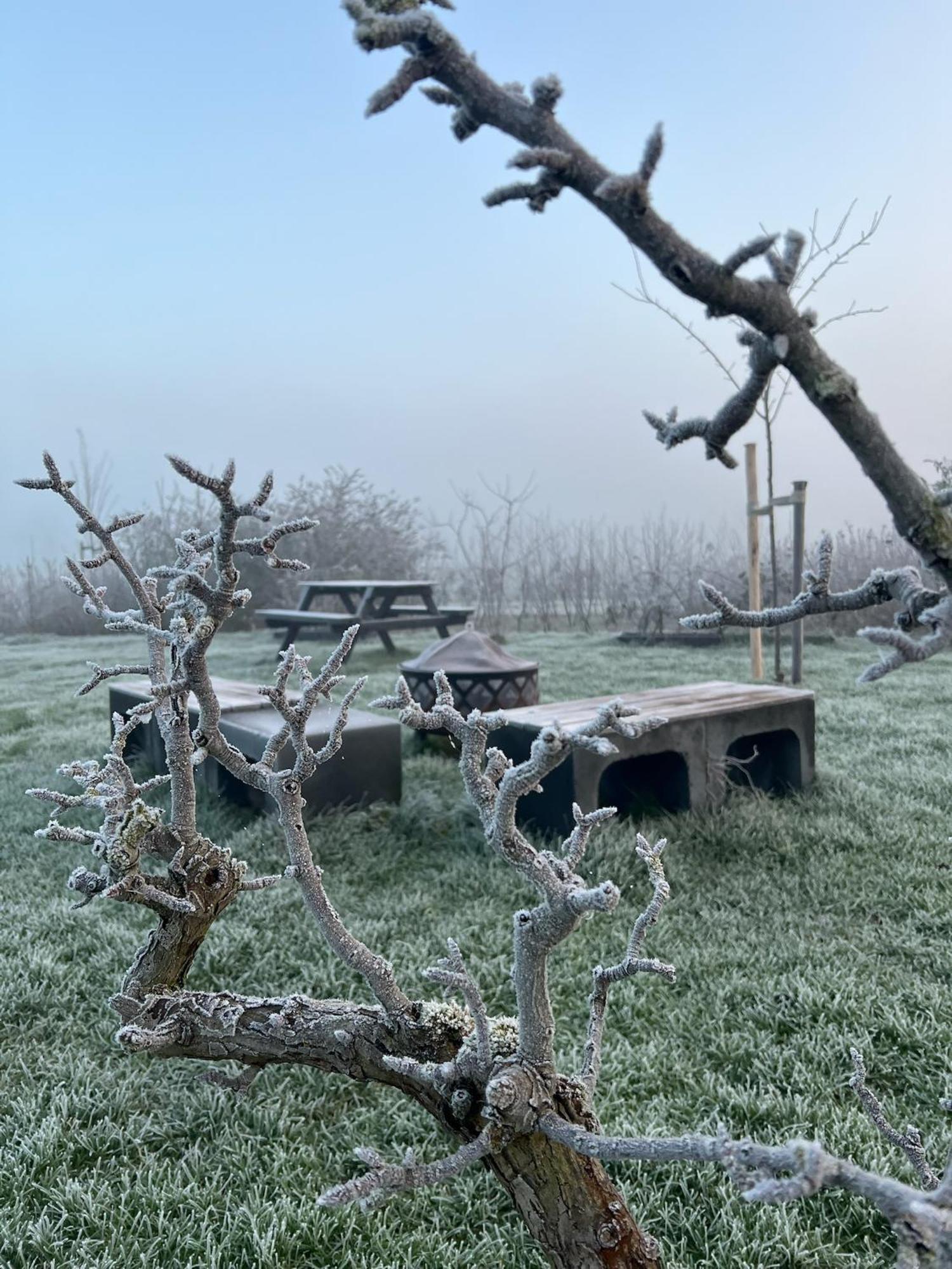 Droom Aan De Linge Wadenoijen ภายนอก รูปภาพ